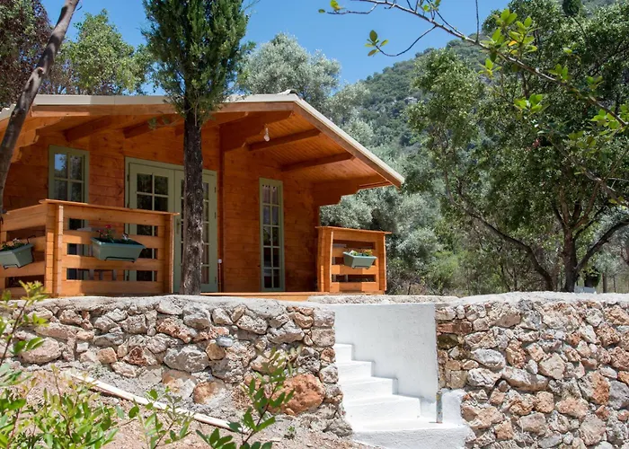 Metaxaki ميكروس جيالوس