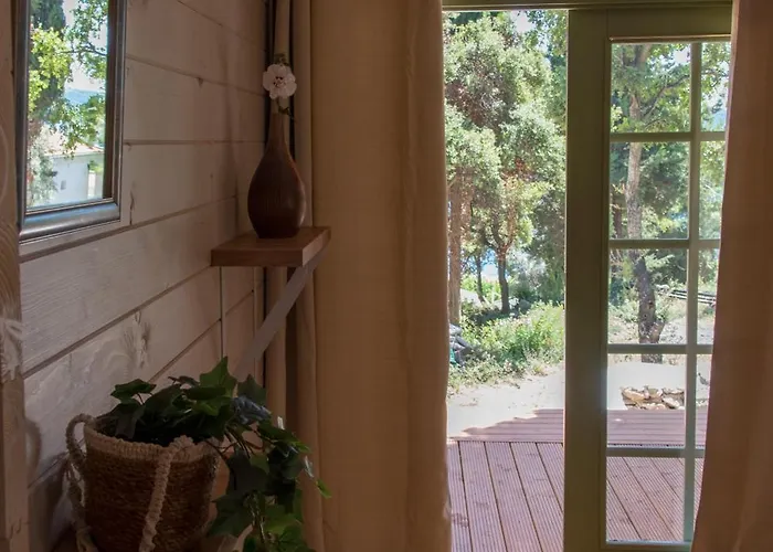 Metaxaki * Mikros Gialos